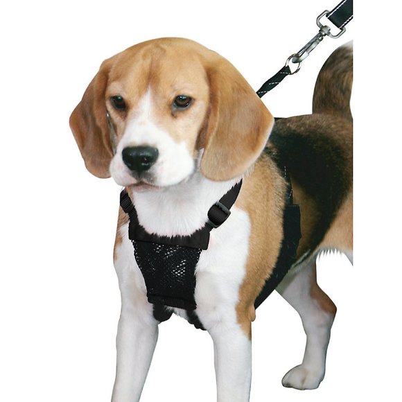 New Mesh Dog Harness Brand New Small  9" - 12" dog - Picture 1 of 7